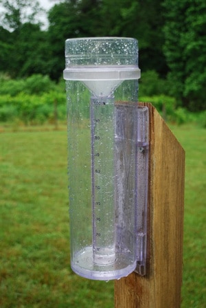 stratus precision analog rain gauge