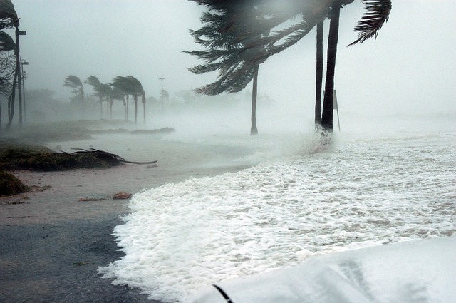 Hurricane Watch vs. Waarschuwing: wat is het verschil?